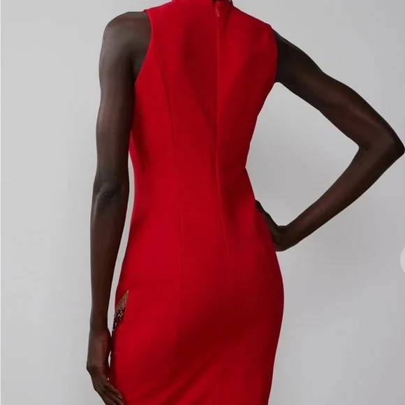 Sleeveless Sequin Trim Dress - Picture 4 of 5